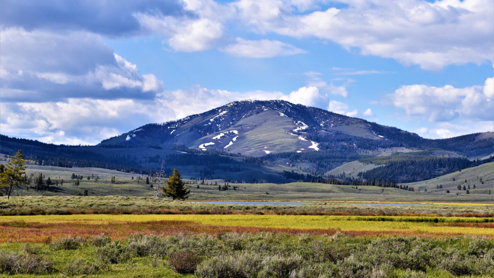 conservation open prairie