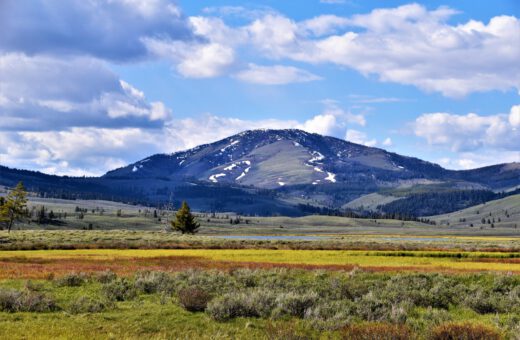 conservation open prairie